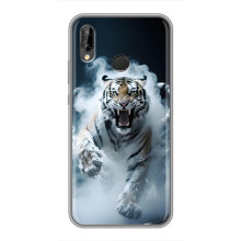 Чехол с картинкой «Хищники» для Huawei P Smart Plus , Nova 3i, INE-LX1 – Тигр