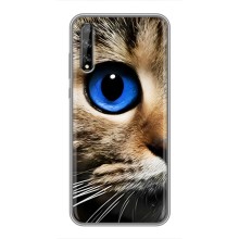 Чехлы с Котиками для Huawei P Smart Pro (VPrint) (Глаз кота)