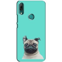 Бампер для Huawei P Smart Z/ Y9 Prime 2019 с картинкой "Песики" – Собака Мопс