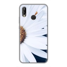 Чехол с ромашками на Huawei P Smart Z/ Y9 Prime 2019 – Пол ромашки