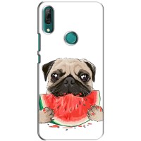 Чехол (ТПУ) Милые собачки для Huawei P Smart Z/ Y9 Prime 2019 (Смешной Мопс)