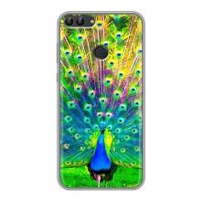 Чохол з пташками на Huawei P Smart, Enjoy 7s, FIG-LA1 (VPrint) (Яскравий Павлин)