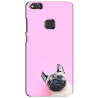 Бампер для Huawei P10 Lite, WAS-LX с картинкой "Песики" (Собака на розовом)