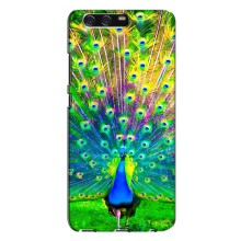 Чехол с птицами на Huawei P10 Plus, VKY (VPrint) (Яркий Павлин)