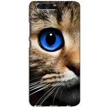 Чехлы с Котиками для Huawei P10, VTR (VPrint) (Глаз кота)