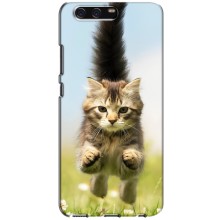 Чехлы с Котиками для Huawei P10, VTR (VPrint) (Прыжок кота)