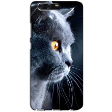 Чехлы с Котиками для Huawei P10, VTR (VPrint) (Серый Кот)