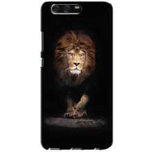 Чехол со Львом для Huawei P10, VTR (VPrint) (Лев)