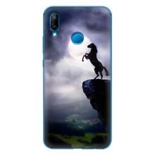 Чехлы с изображением разных животных для Huawei P20 Lite (2019) (Лошадь)