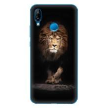 Чехол с картинкой на Huawei P20 Lite (2019) – Красивый Лев