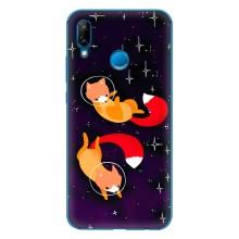 Чехол с Лисичкой для Huawei P20 Lite (2019) – Лисы