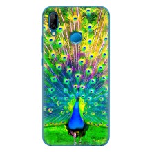 Чехол с птицами на Huawei P20 Lite (2019) (VPrint) (Яркий Павлин)