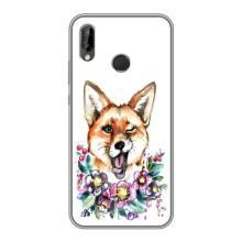 Чехлы с картинкой Лисички для Huawei P20 Lite, Ane-L02 (VPrint) (Веселая лисичка)