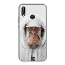 Чехлы с Обезьянами NFT для Huawei P20 Lite, Ane-L02 (AlphaPrint) (обезьяна NFT в тату)