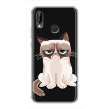 Чохол з принтом для Huawei P20 Lite, Ane-L02 (AlphaPrint) Модні коти (Сумний кіт)