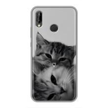 Чохол з малюнком кіт на Huawei P20 Lite, Ane-L02 – Пара котів
