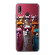 Чохол з принтом стильні тварини для Хуавей П20 Лайт – Лами в окулярах