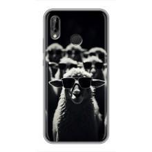 Чохол з принтом стильні тварини для Хуавей П20 Лайт – Овечка в окулярах