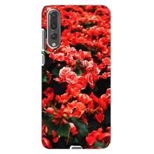Чехлы с Цветами для Huawei P20 Pro, CLT-L04 (VPrint) (Цветы красные)