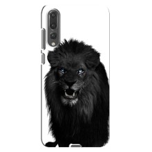 Чехлы с картинками животных Huawei P20 Pro, CLT-L04