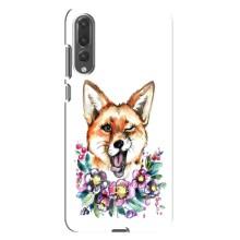 Чехлы с картинкой Лисички для Huawei P20 Pro, CLT-L04 (VPrint) (Веселая лисичка)