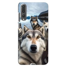 Чехол с Хаски для Huawei P20 Pro, CLT-L04 - (AlphaPrint) (Селфи ХАски)