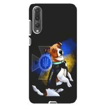 Чехлы с картинкой собаки Патрон для Huawei P20 Pro, CLT-L04 (AlphaPrint) (Патрон собачка)