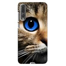 Чехлы с Котиками для Huawei P20 Pro, CLT-L04 (VPrint) (Глаз кота)