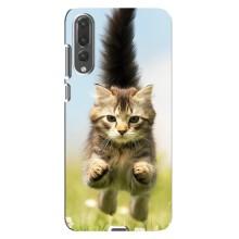 Чехлы с Котиками для Huawei P20 Pro, CLT-L04 (VPrint) (Прыжок кота)