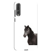 Чехлы с Лошадью дляHuawei P20 Pro, CLT-L04 (VPrint) (Чорний кінь)