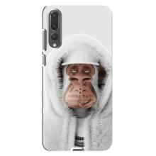 Чехлы с Обезьянами NFT для Huawei P20 Pro, CLT-L04 (AlphaPrint) (обезьяна NFT в тату)