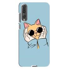 Чехол на Хуавей П20 Про с Котами (VPrint) (Котик в очках)