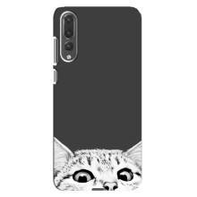 Чехол на Хуавей П20 Про с Котами (VPrint) (Выглядывает кот)