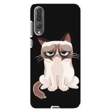 Чехол с принтом для Huawei P20 Pro, CLT-L04 (AlphaPrint) Модные коты (Грустный кот)