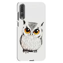 Чехол с птицами на Huawei P20 Pro, CLT-L04 (VPrint) (Милая Сова)