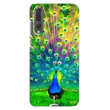 Чехол с птицами на Huawei P20 Pro, CLT-L04 (VPrint) (Яркий Павлин)