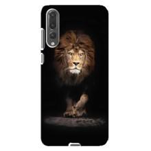 Чехол со Львом для Huawei P20 Pro, CLT-L04 (VPrint) (Лев)