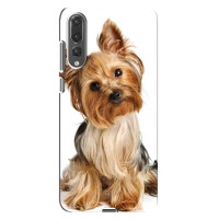 Чехол (ТПУ) Милые собачки для Huawei P20 Pro, CLT-L04 (Собака Терьер)