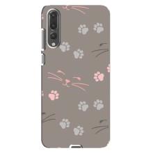 Чохол з малюнком кіт на Huawei P20 Pro, CLT-L04 – Лапи і вуса