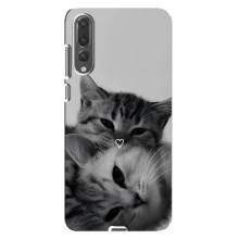 Чохол з малюнком кіт на Huawei P20 Pro, CLT-L04 – Пара котів