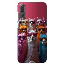 Чохол з принтом стильні тварини для Huawei P20 Pro українською: – Лами в окулярах
