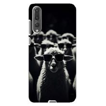 Чохол з принтом стильні тварини для Huawei P20 Pro українською: – Овечка в окулярах