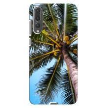 Силиконовый чехол с КАРТИНКАМИ лето для Huawei P20 Pro, CLT-L04 (AlphaPrint) (Пальма)