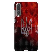 Украинские Чехлы для Huawei P20 Pro, CLT-L04 с картинкой УПА (AlphaPrint) (ГЕРБ УПА)