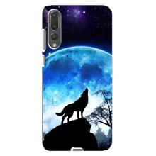 Защитные чехлы для Хуавей П20 Про (AlphaPrint) (ХИТ продаж) ВОЛК (Волк на луну)