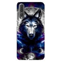 Защитные чехлы для Хуавей П20 Про (AlphaPrint) (ХИТ продаж) ВОЛК (Волк)