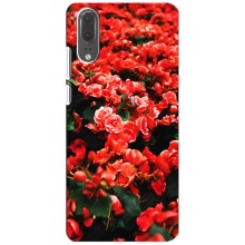 Чехлы с Цветами для Huawei P20, EML-L09 (VPrint) (Цветы красные)