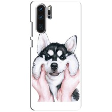 Чохол з Хаскі Huawei P30 Pro - (AlphaPrint)