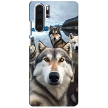 Чехол с Хаски для Huawei P30 Pro - (AlphaPrint) (Селфи ХАски)