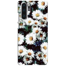 Чохол з картинкою (Стильні) Huawei P30 Pro - (AlphaPrint) – Ромашки